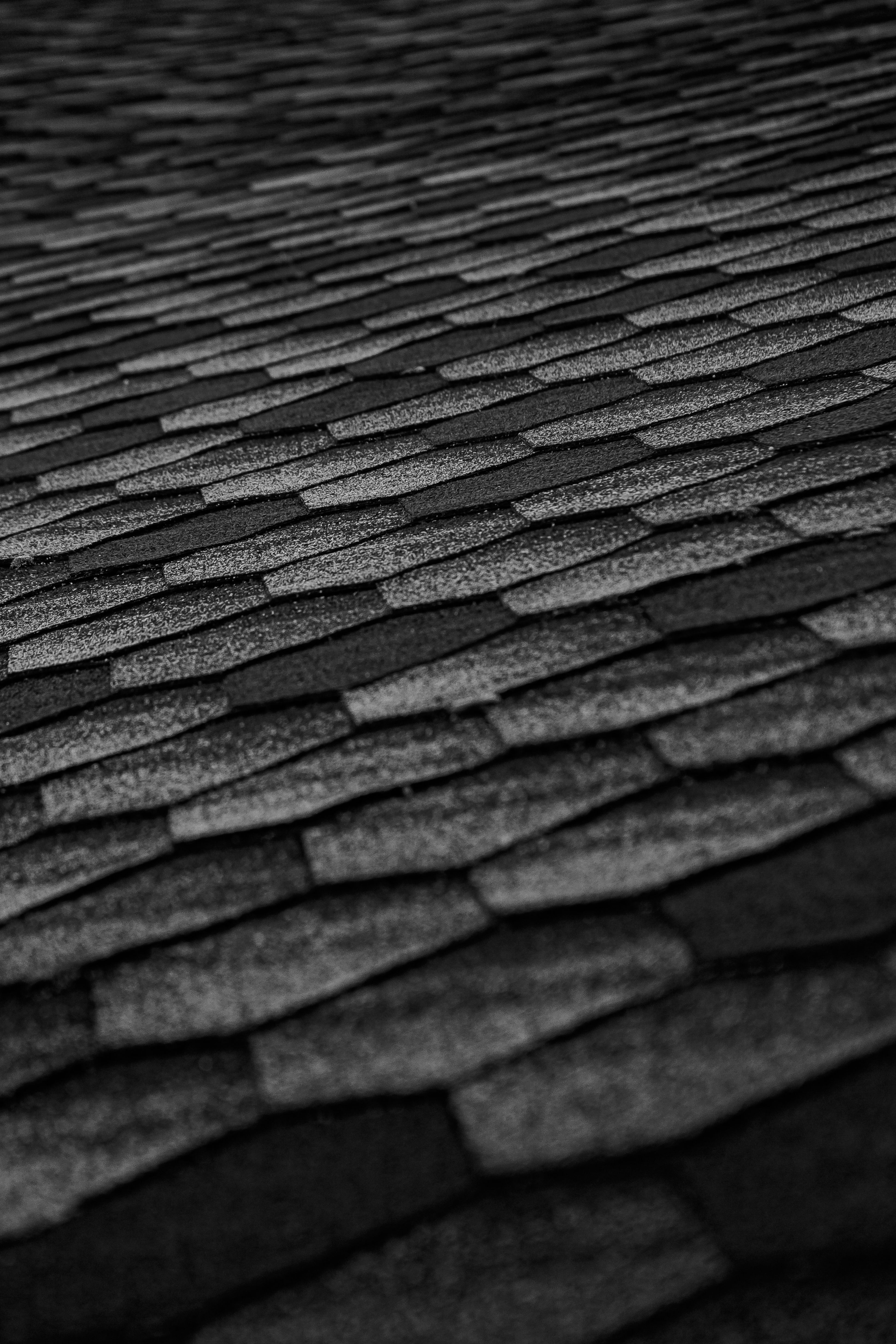 Roofing Repair