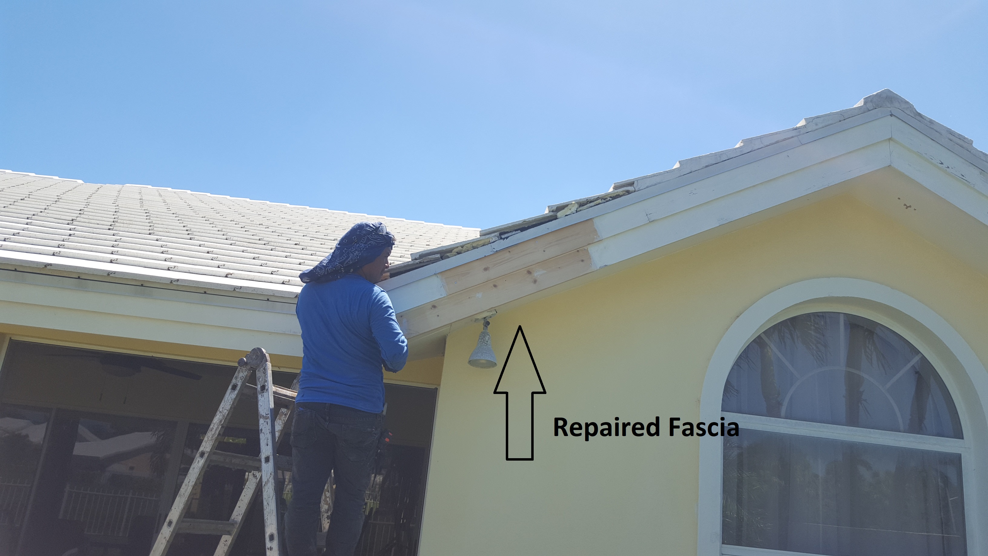 Fascia Repair & Replacement